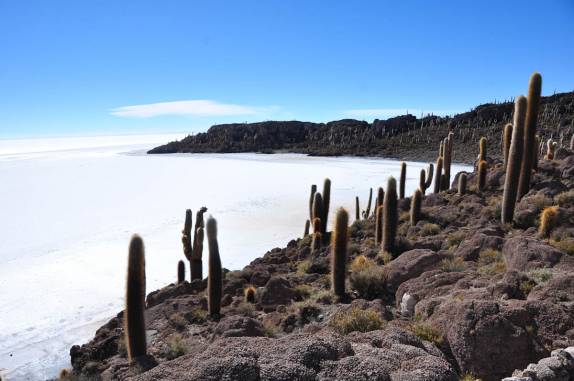 A Isla Incahuasi, no Salar de Uyuni, na Bolívia